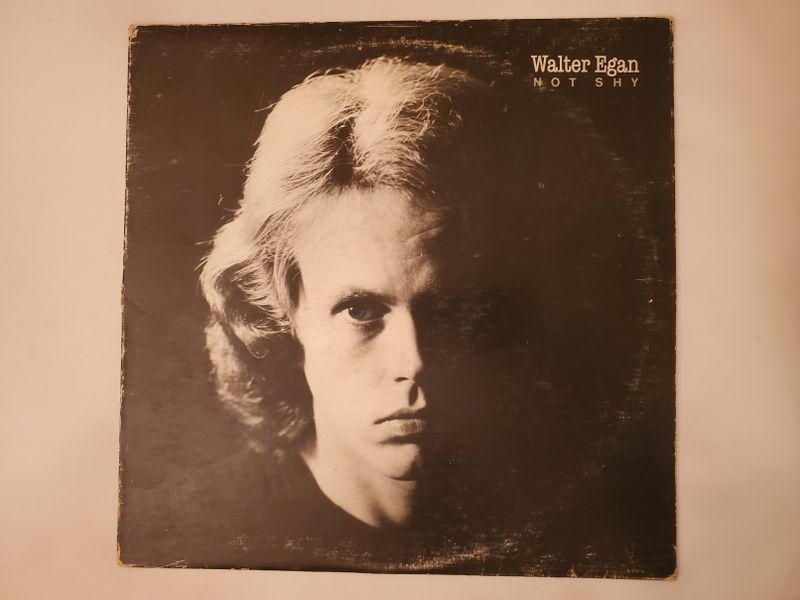 Walter Egan Not Shy vinyl record